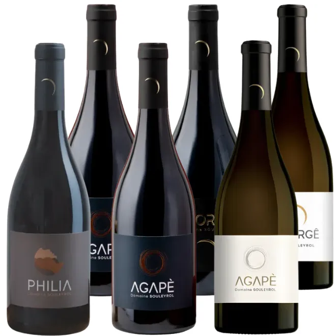 Domaine Souleyrol Tasting Case (Rhône)