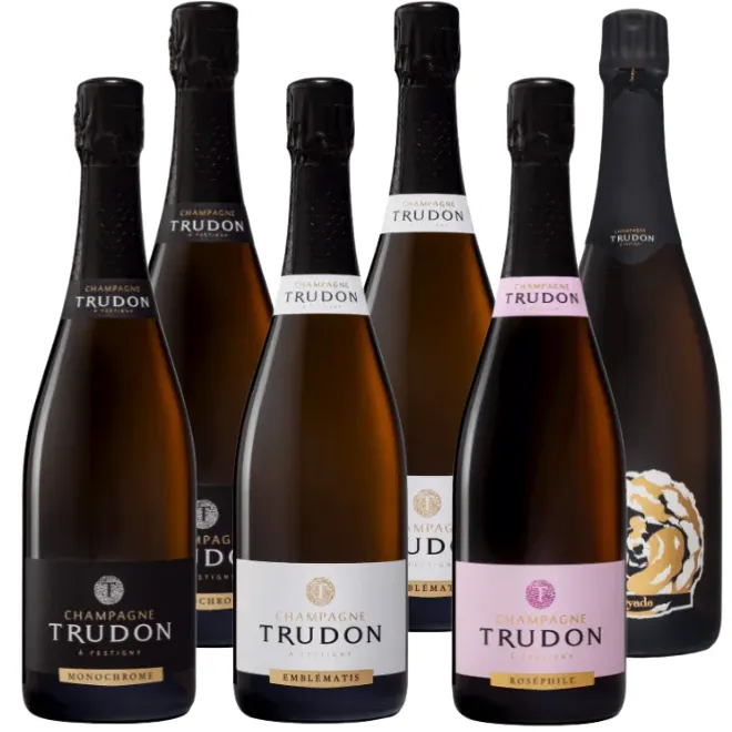 Champagne Trudon proefpakket