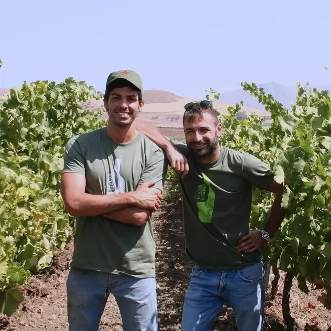 Winemaker subscription - 12 months gift