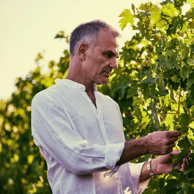 Wein Abo - Premium