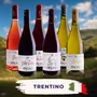 Trentino Probierpaket