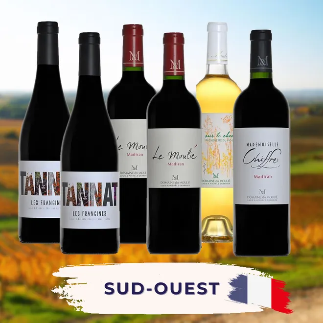 Du Moulié Tasting Case