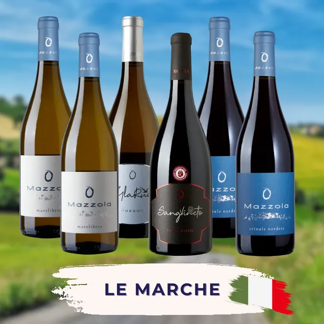 Le Marche Tasting Case