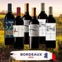 Bordeaux Tasting Case- Red