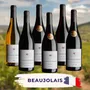 Beaujolais Probierpaket