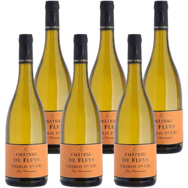 'Les Fourneaux' Chablis Premier Cru 2023