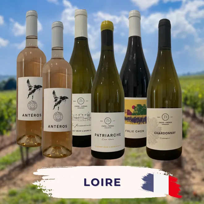 Loire Tasting Case