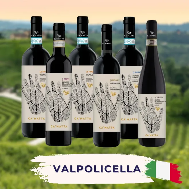 Probierpaket Valpolicella