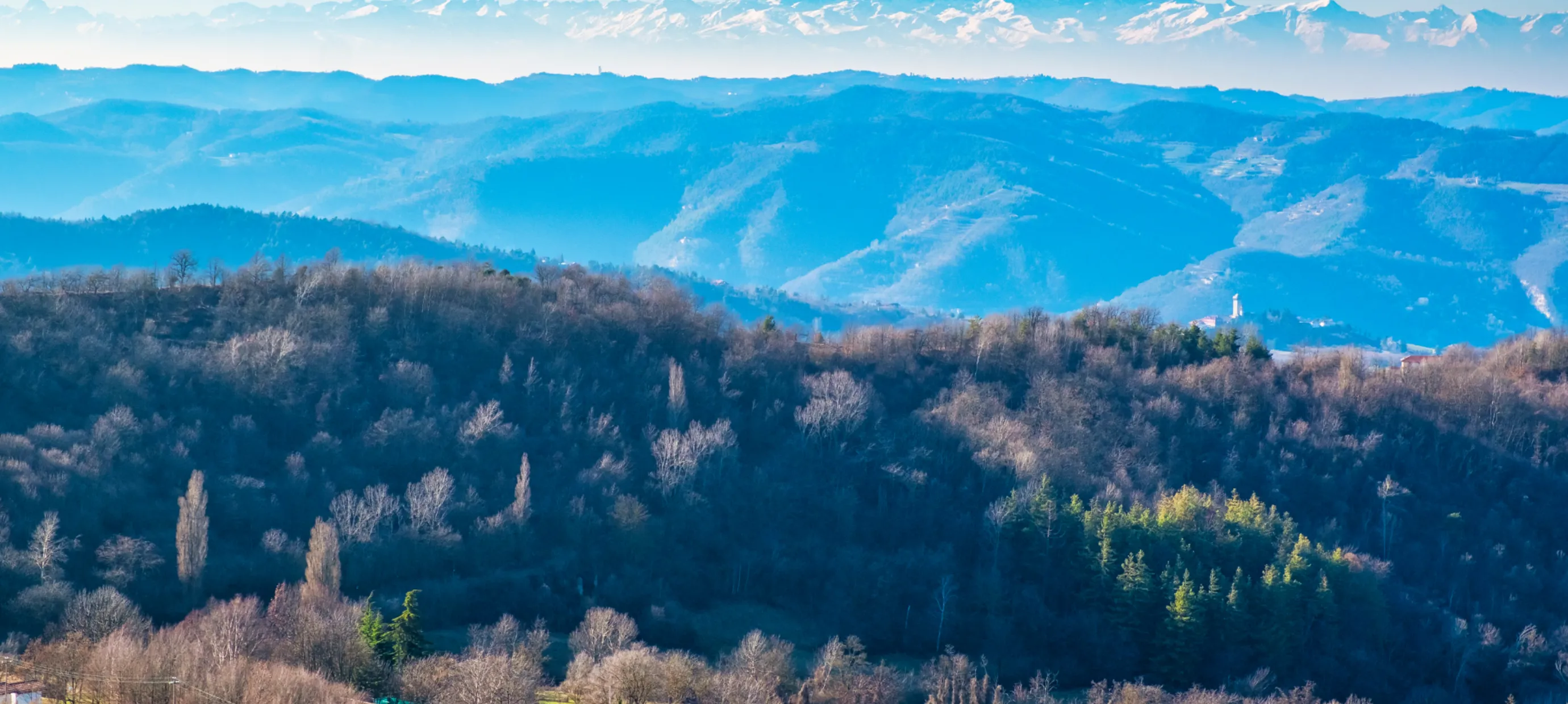 Alta Langa: How This Sparkling Wine Is Conquering Europe