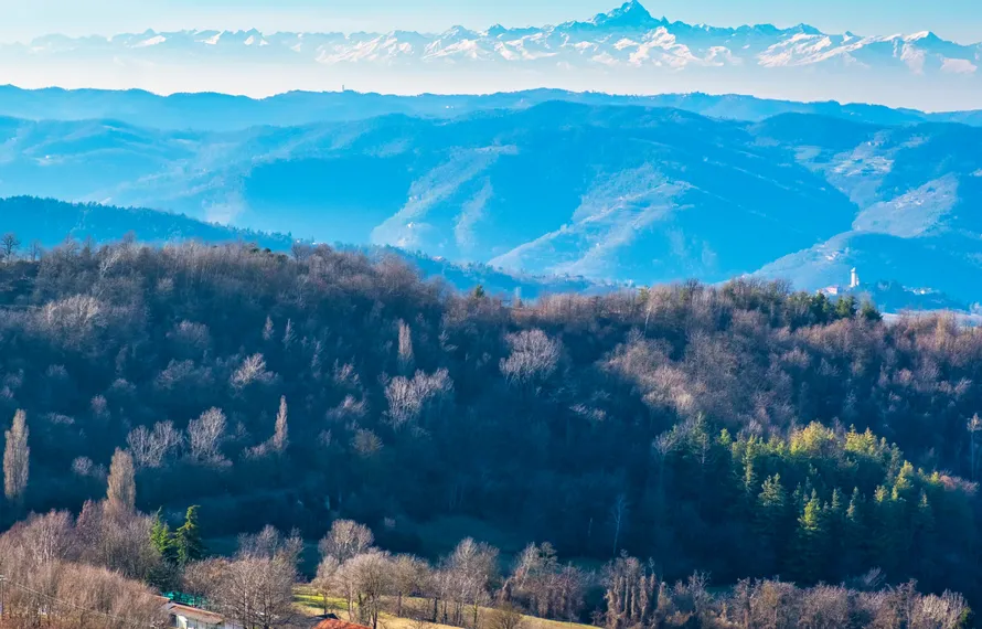 Alta Langa: How This Sparkling Wine Is Conquering Europe