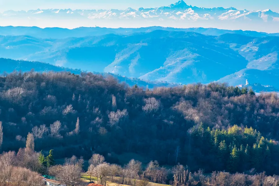 Alta Langa: How This Sparkling Wine Is Conquering Europe