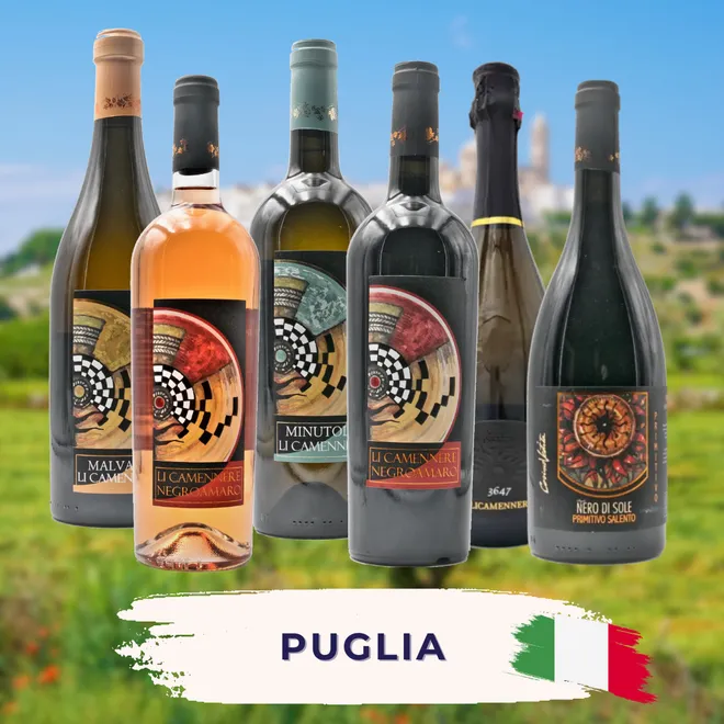 Puglia Tasting Case