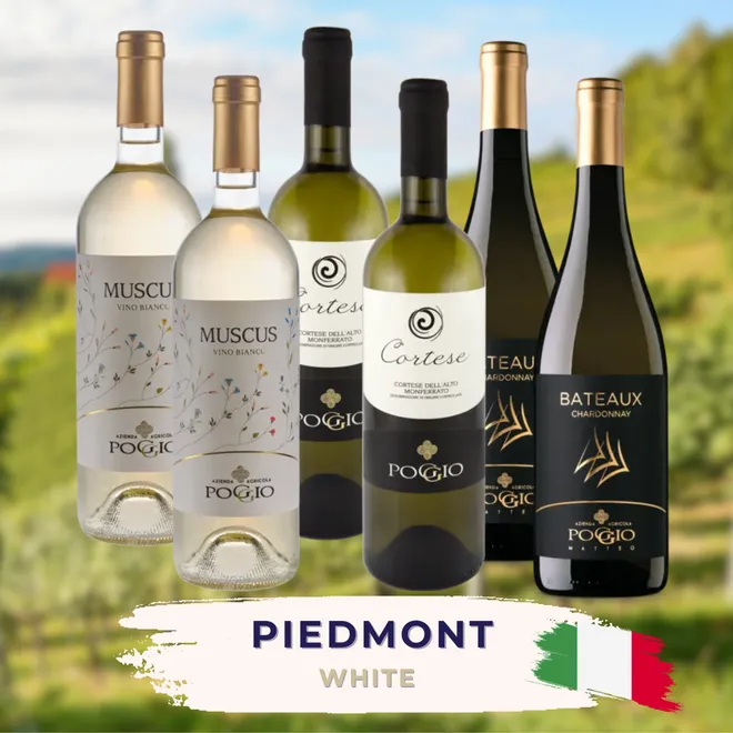Piedmont White Tasting Case