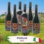 Puglia Red Tasting Case