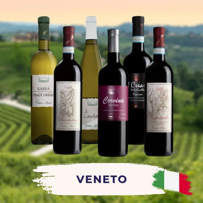 Veneto Tasting Case