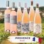 Provence Rosé Tasting Case