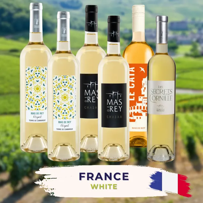 France White WineTasting Case
