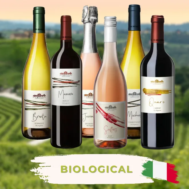 Organic wines Tasting Case