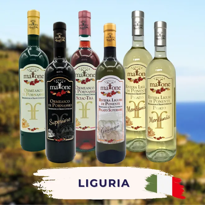 Liguria Tasting Case