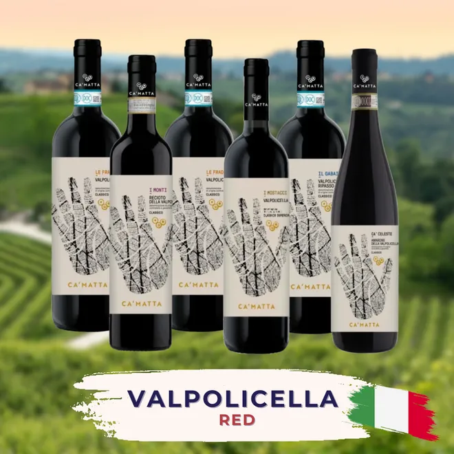 Valpolicella Tasting Case Red edition