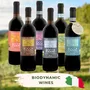 Biodynamic Tasting Case