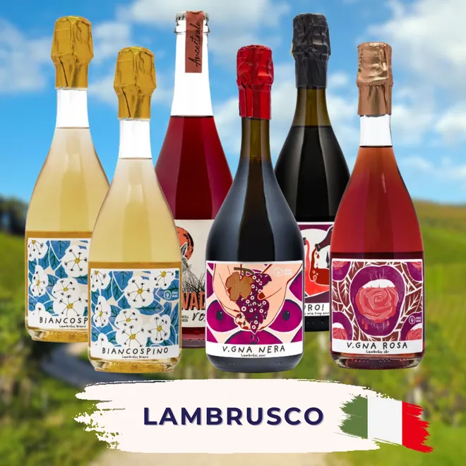 Lambrusco Probierpaket
