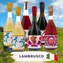 Lambrusco Probierpaket