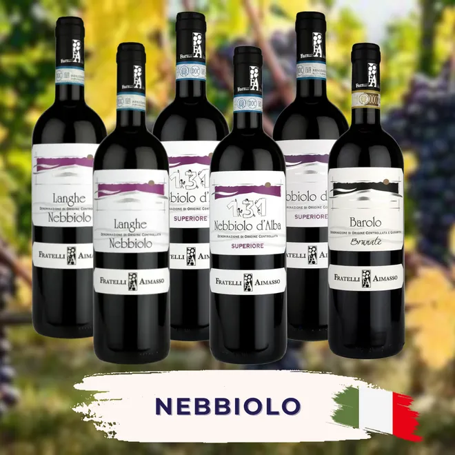 Nebbiolo  Probierpaket