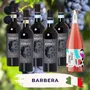 Barbera Tasting Case