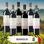 Barolo Proefpakket