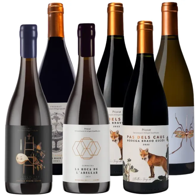 Bodega Bravo Escós Tasting Case (Priorat)