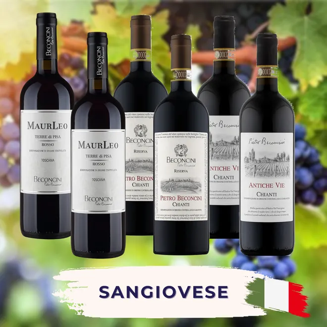 Sangiovese Proefpakket
