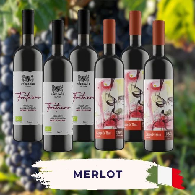 Merlot Proefpakket