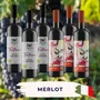 Merlot Tasting Case