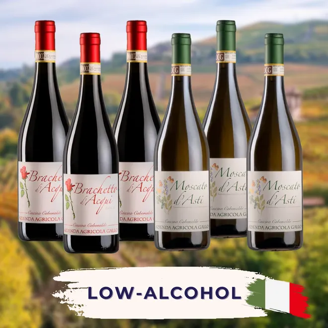 Low-alcohol Tasting Case