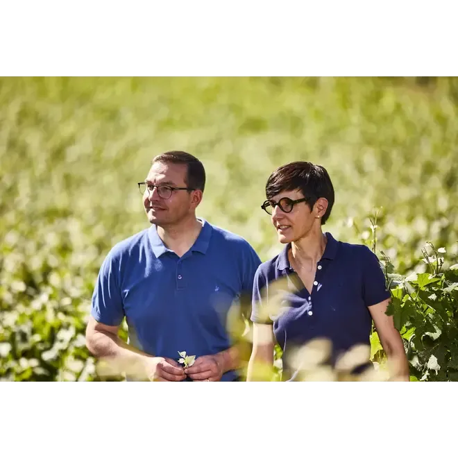 Champagne Trudon probierpaket