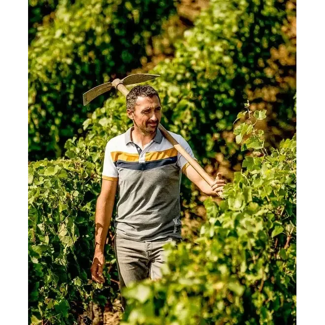 Sancerre Nicolas Millet proefpakket