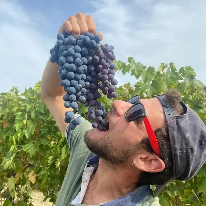 Azienda Agricola Cecci Tasting Case (Umbria)
