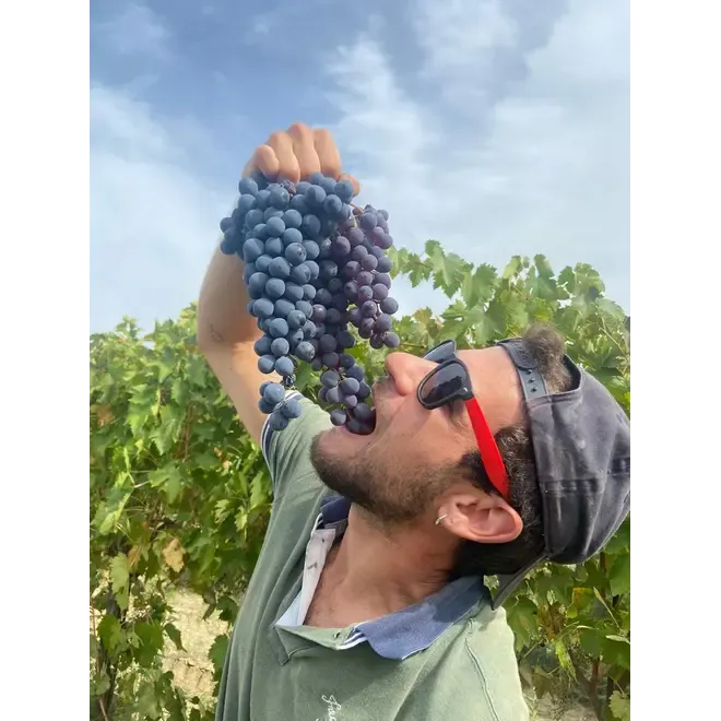 Azienda Agricola Cecci Tasting Case