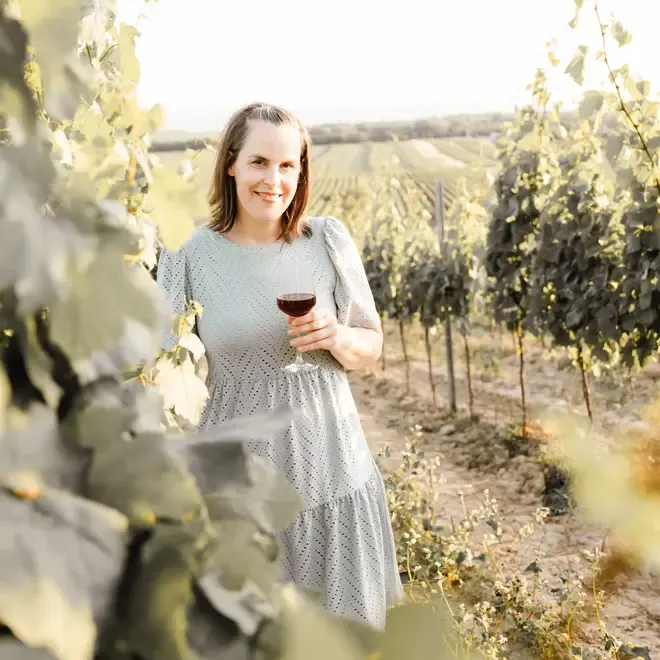 Weingut Habersack Proefpakket (Burgenland)