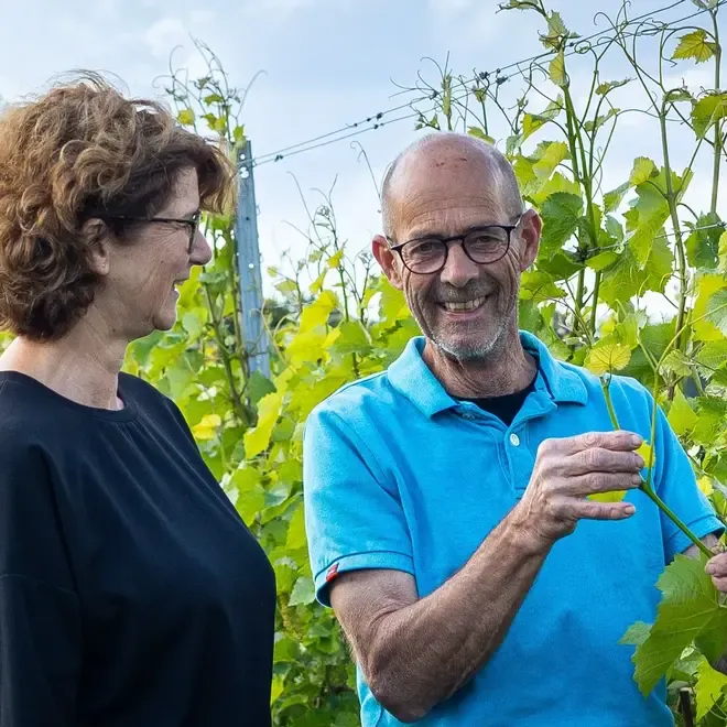 Wijngaard de Genenberg probierpaket