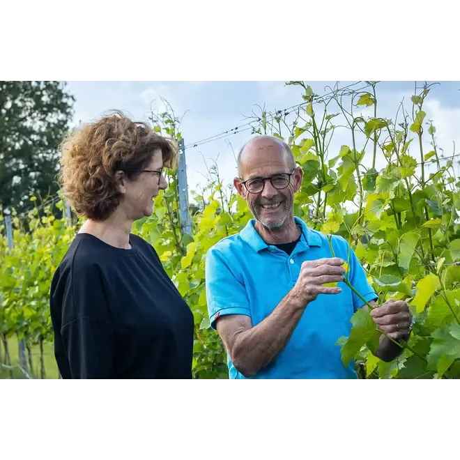 Wijngaard de Genenberg proefpakket