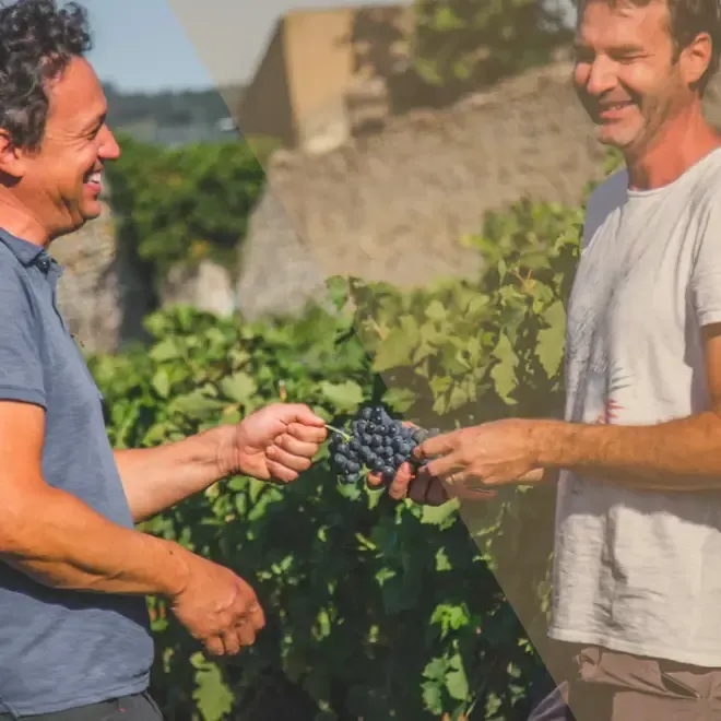 Domaine Luyton-Fleury Proefpakket (Rhône)