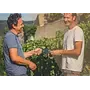 Domaine Luyton-Fleury Proefpakket (Rhône)