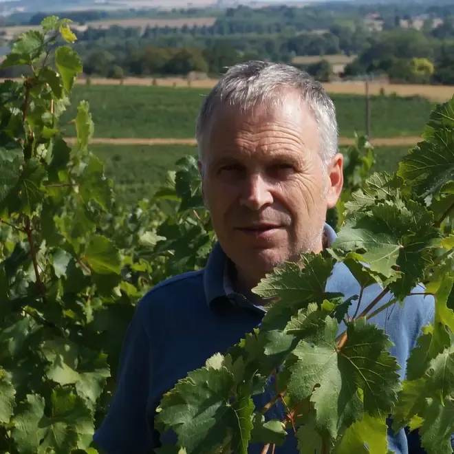 Domaine des Ruaults Proefpakket