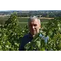 Domaine des Ruaults Probierpaket (Loire)