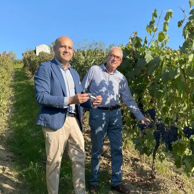 Davico Stefano Tasting Case (Piedmont)