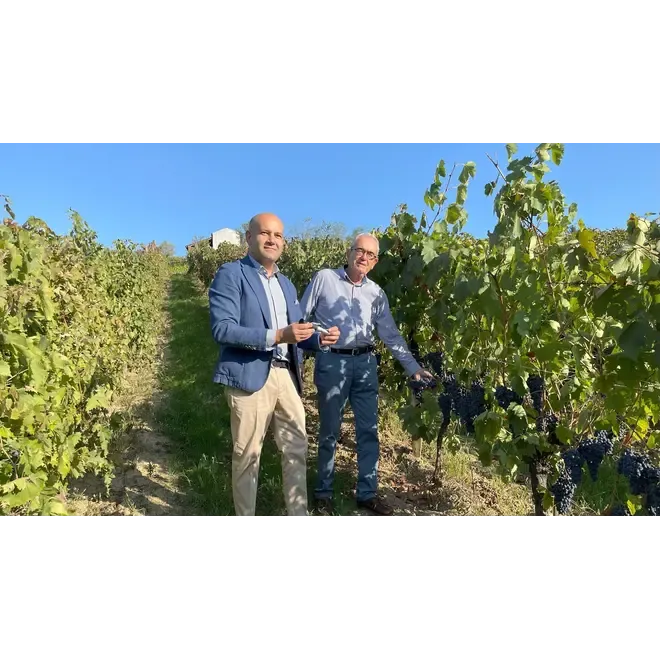 Davico Stefano Probierpaket