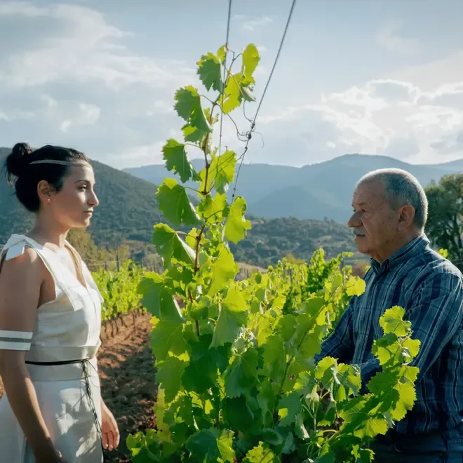 Cantine di Orgosolo Tasting Case