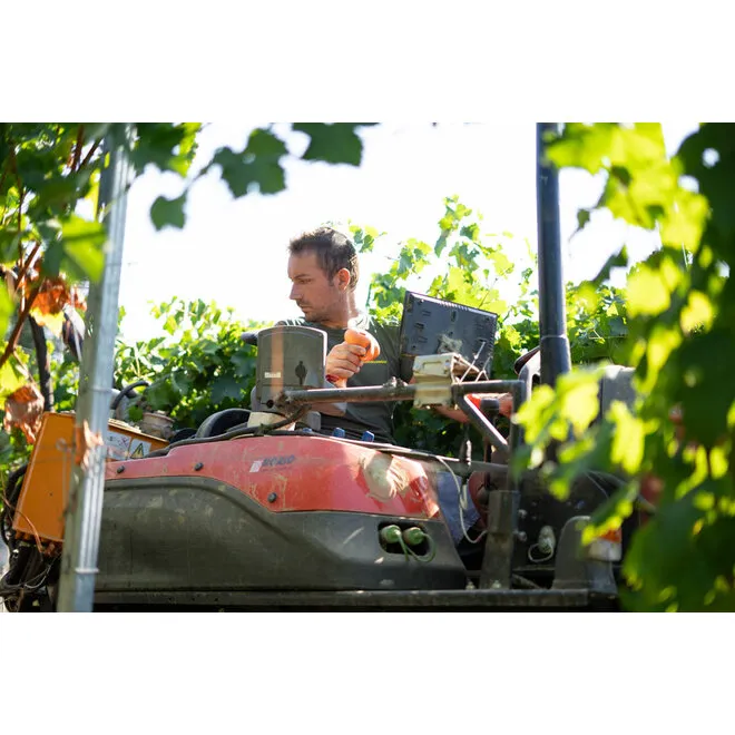 Proefpakket Giachino